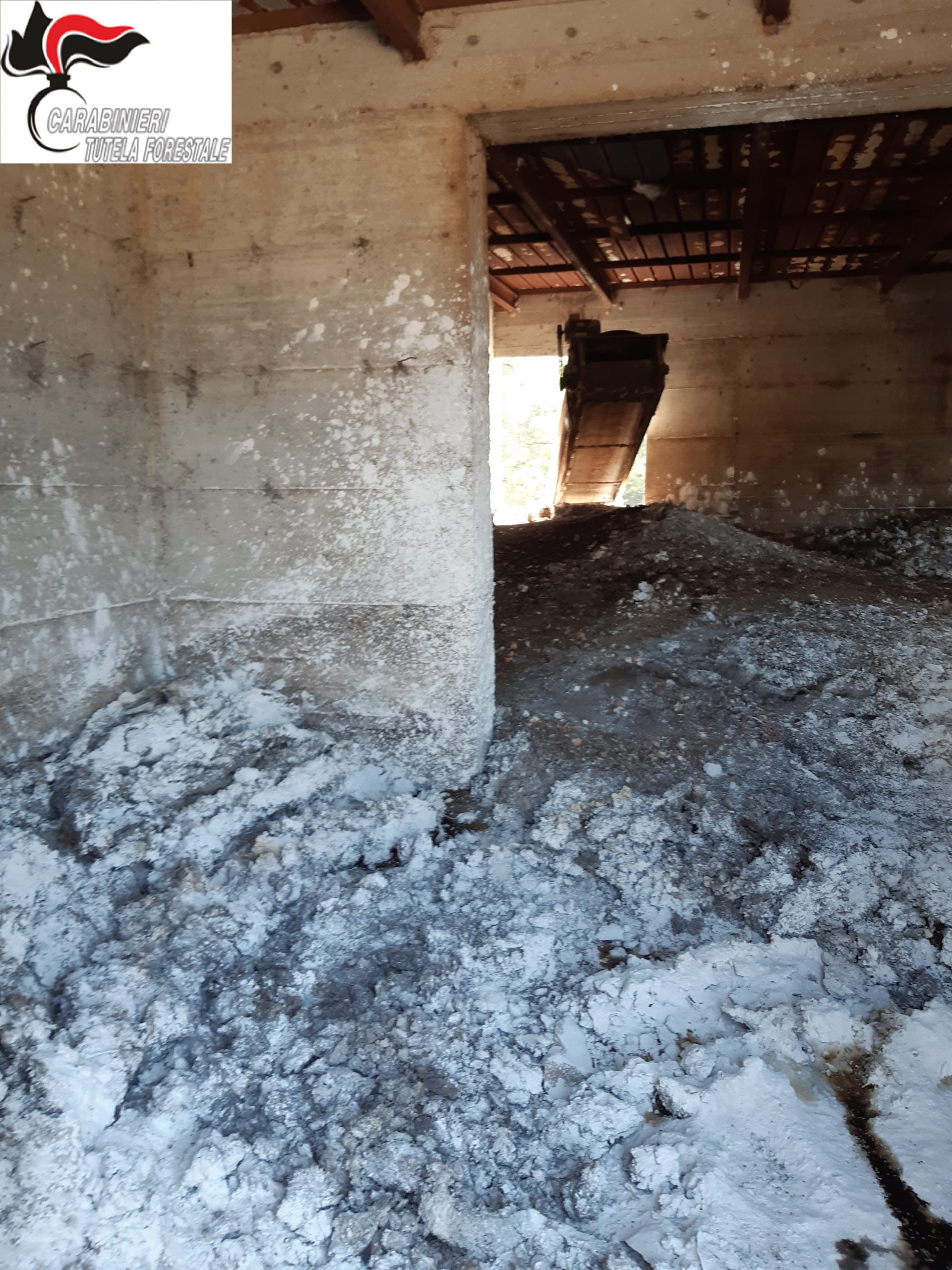 Apice| Forestali: sequestrato manufatto adibito a deposito di reflui zootecnici a servizio di un allevamento avicolo