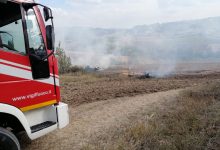 Incendi,Coldiretti: ecco decalogo salva boschi
