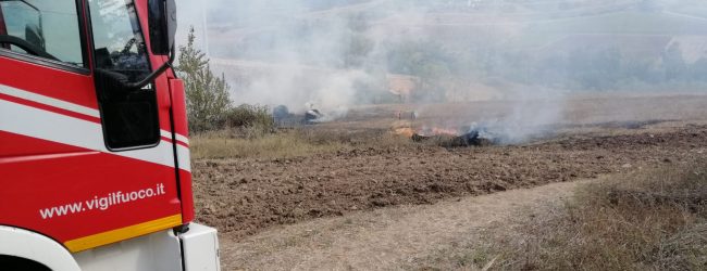 Incendi,Coldiretti: ecco decalogo salva boschi
