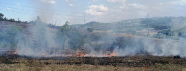 Benevento| Prevenzione incendi boschivi, riunione in Prefettura: sinergia tra Forze dell’ordine ed Enti pubblici