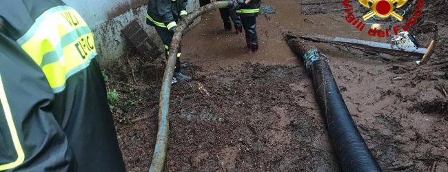 Alberi caduti e allagamenti, il maltempo flagella l’Irpinia: 60 interventi dei vigili del fuoco