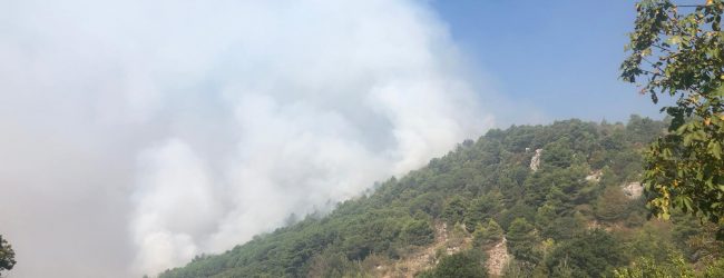San Lorenzello| Ancora fuoco sul monte Erbano, Lavogna: una ferita che restera’ nella storia. I cittadini sui social: subito una raccolta fondi
