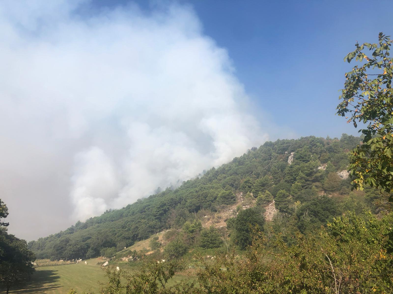 San Lorenzello| Ancora fuoco sul monte Erbano, Lavogna: una ferita che restera’ nella storia. I cittadini sui social: subito una raccolta fondi