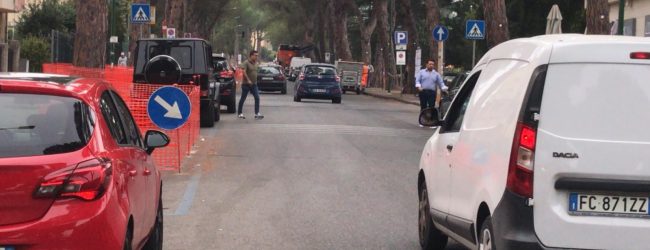 Pini, “quaestio arborea” caso politico