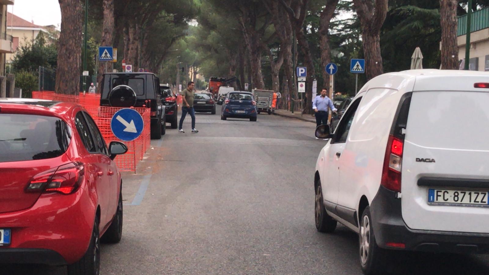 Pini, “quaestio arborea” caso politico