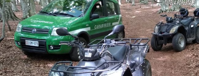 Bagnoli Irpino| Escursioni non autorizzate in montagna, denunciato 40enne. Sequestrati 4 quad