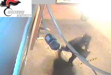 Furto in un bar-tabacchi a Ponte Valentino, arrestati due cittadini di Benevento