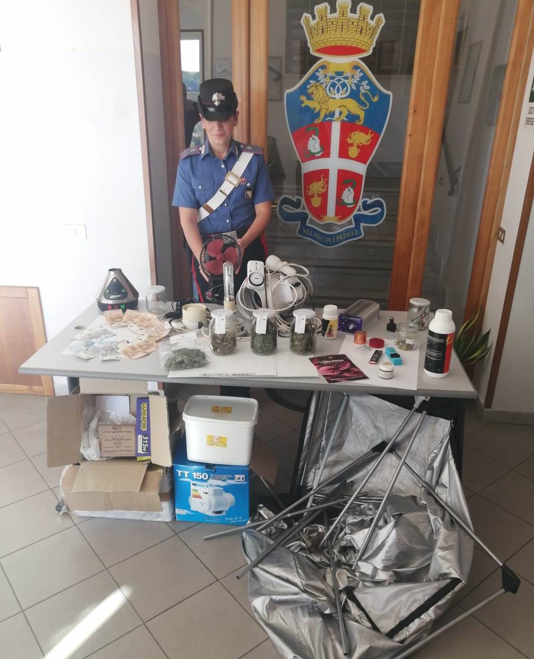 Baselice| Detenzione ai fini di spaccio di sostanze stupefacenti, arrestato 21enne del posto