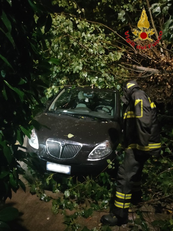 Allagamenti e alberi caduti in Irpinia, la giornata dei vigili del fuoco