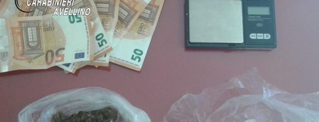 San Michele di Serino| Cocaina e marijuana nei mobili da cucina scoperta dal fiuto di Holli, 30enne ai domiciliari