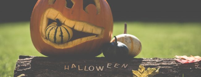 Benevento| Zucca days, Coldiretti: speciale weekend al mercato al coperto