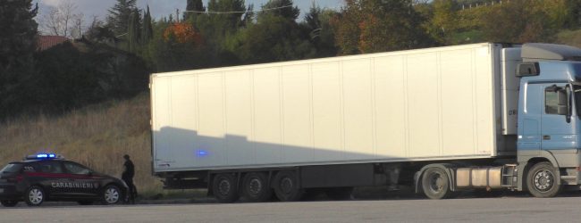 Camion frigo con clandestini a bordo, arrestato l’autista