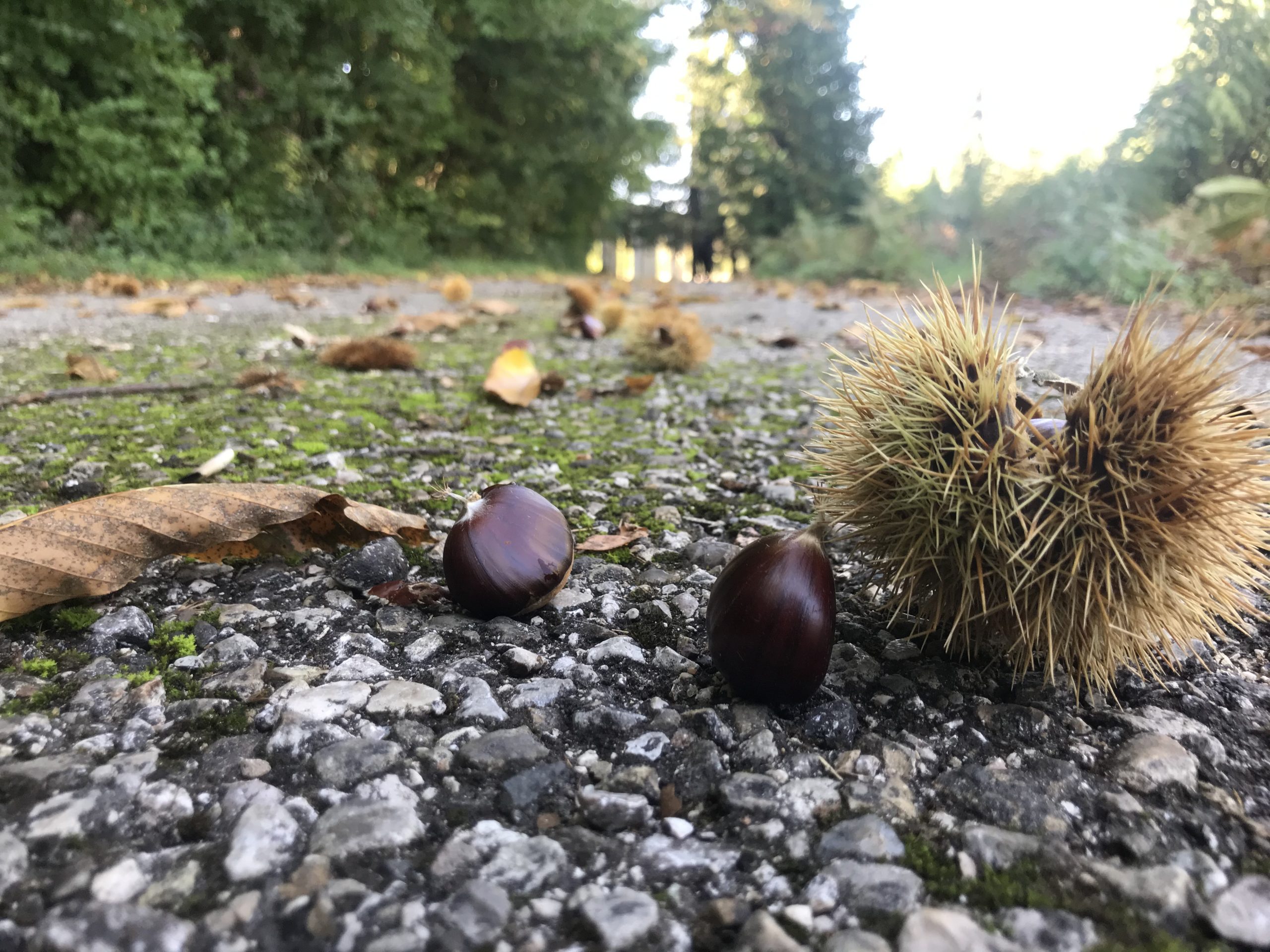 Ecco l’Estate di San Martino: parla il meteorologo