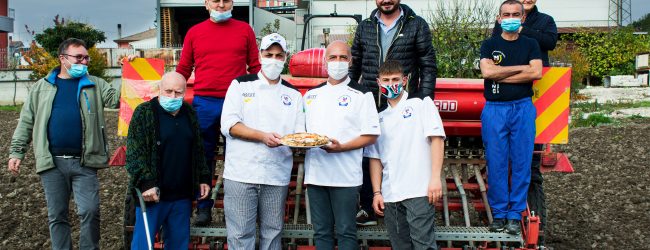 Grottaminarda| Nasce la farina 100% Irpina, Sorbillo: per la nostra pizza materia prima che fa la differenza