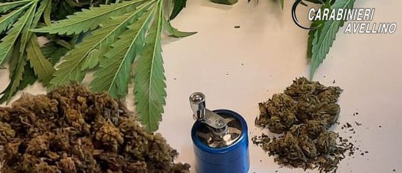 Coltivava marijuana in giardino, denunciato 50enne di Calabritto
