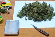 Marijuana, semi di cannabis e bilancino nascosti in casa: ai domiciliari 48enne di Volturara