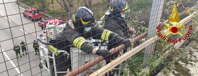 Avellino| Tubolari pericolanti dal viadotto sulla variante, intervento dei vigili del fuoco a San Tommaso