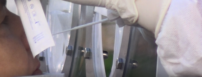 Covid-19, in Campania 350mila test antigenici per personale scolastico