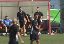 Benevento, intervento chirurgico per Tuia: un mese di stop