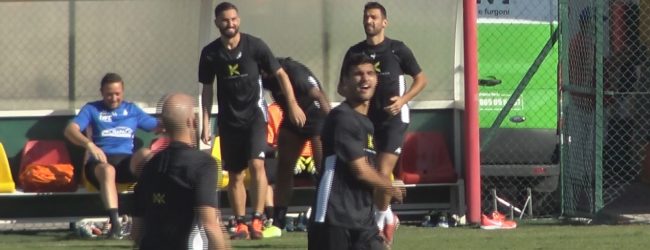 Benevento, intervento chirurgico per Tuia: un mese di stop