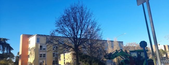 Benevento: domani l’accensione dell’Albero di Natale del Ricordo e della Rinascita