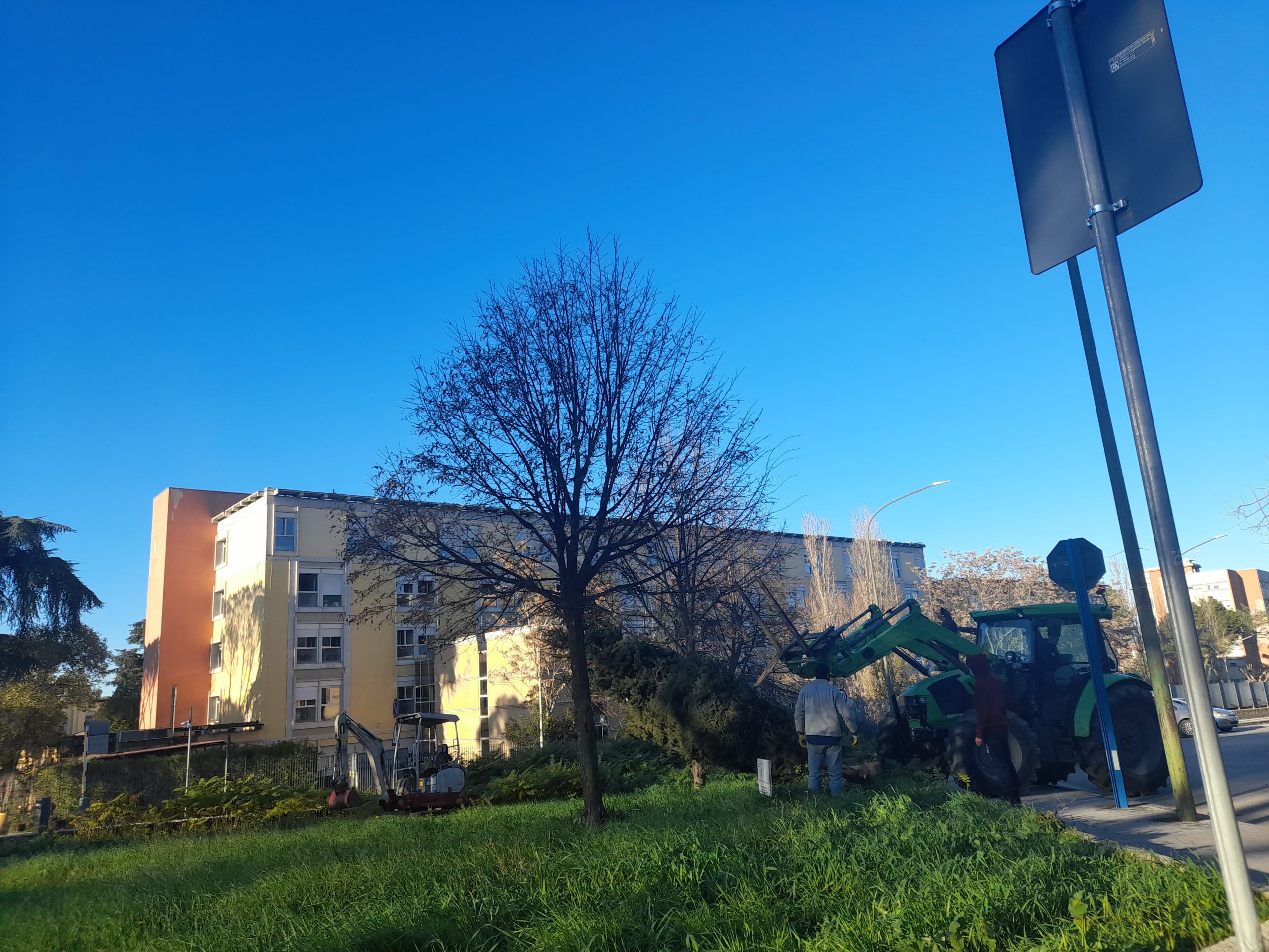 Benevento: domani l’accensione dell’Albero di Natale del Ricordo e della Rinascita