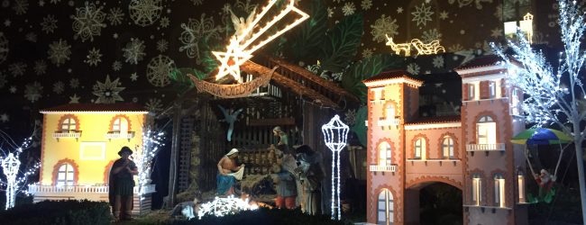 Benevento| Un albero pieno di luci per i malati Covid: all’Ospedale Fatebenefratelli si accende la speranza