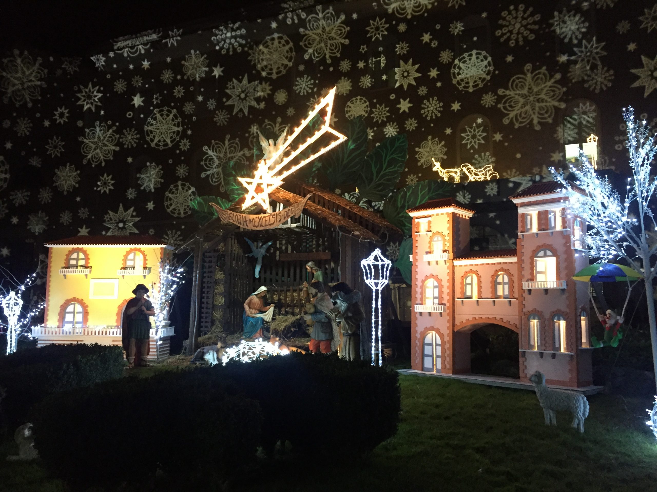 Benevento| Un albero pieno di luci per i malati Covid: all’Ospedale Fatebenefratelli si accende la speranza