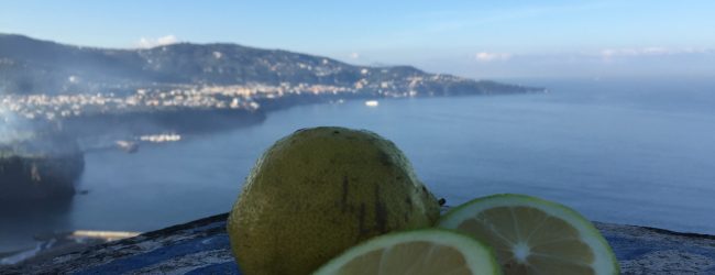“Il turismo ai tempi del Covid” il documentario del Premio Penisola Sorrentina