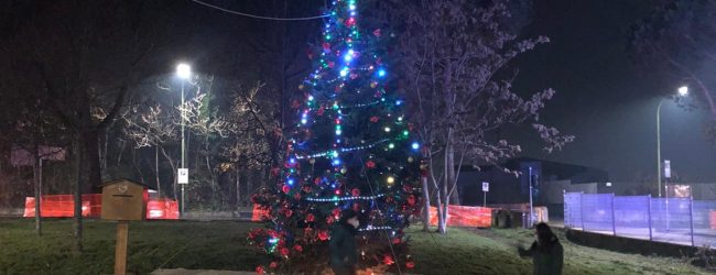 Benevento| Un albero di Natale per ricordare le vittime del Covid