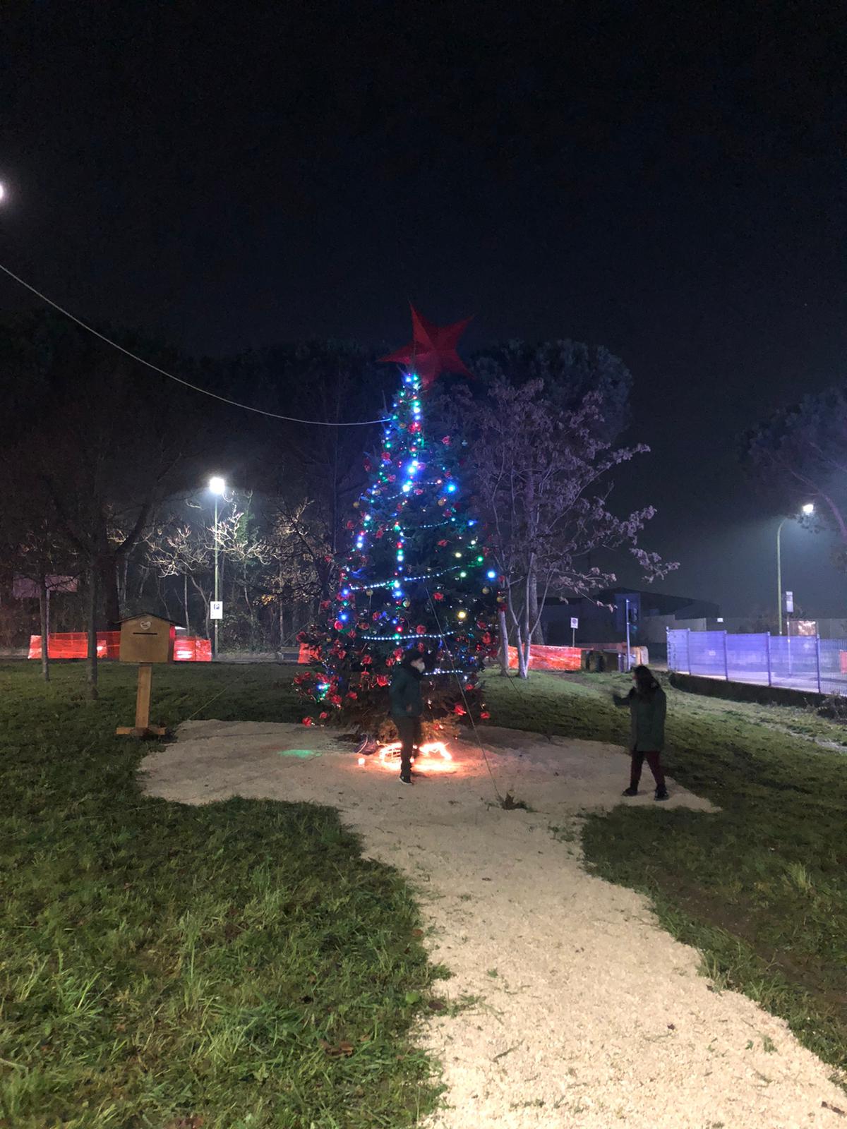 Benevento| Un albero di Natale per ricordare le vittime del Covid