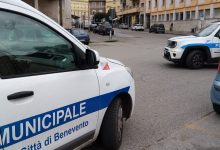 Polizia Locale, al via lo studio per un nucleo cinofilo: obiettivo sicurezza urbana