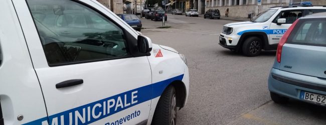 Polizia Locale, al via lo studio per un nucleo cinofilo: obiettivo sicurezza urbana