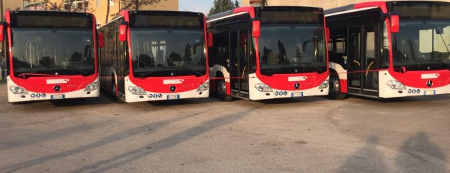 Benevento| Quattro nuovi mezzi per la Trotta Mobility