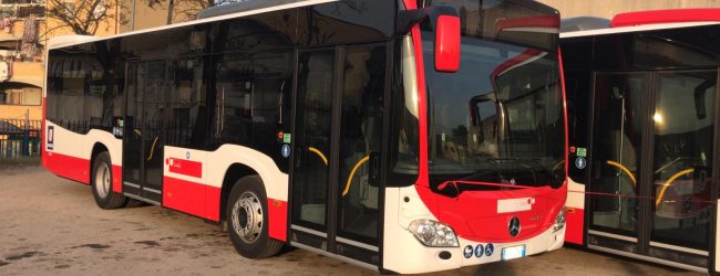 Vicenda Trotta Bus, i sindacati proclamano lo sciopero di 4 ore il 10 Novembre
