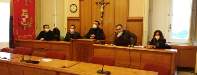 Benevento| Vicenda pini al Viale degli Atlantici: 24 sono da abbattere