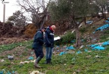 Ritrovate carcasse di bufalini e ossa di bovini, la scoperta dei CC Forestali nel Fortore