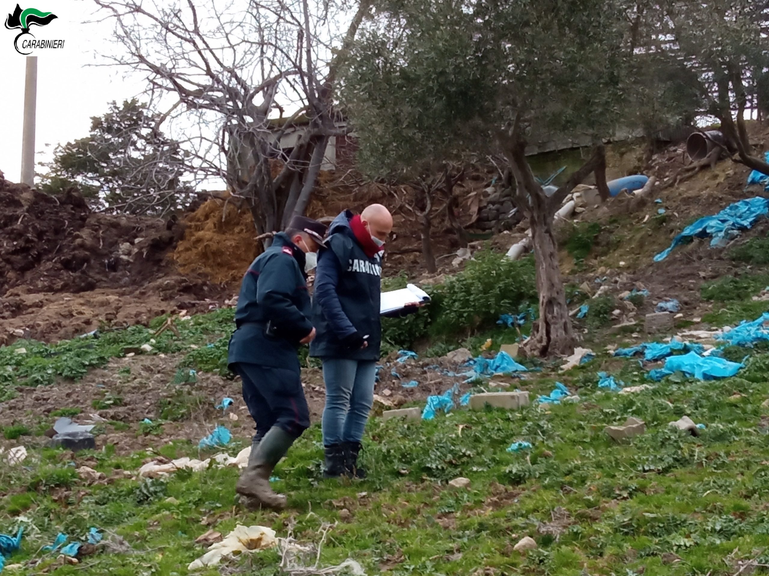 Ritrovate carcasse di bufalini e ossa di bovini, la scoperta dei CC Forestali nel Fortore