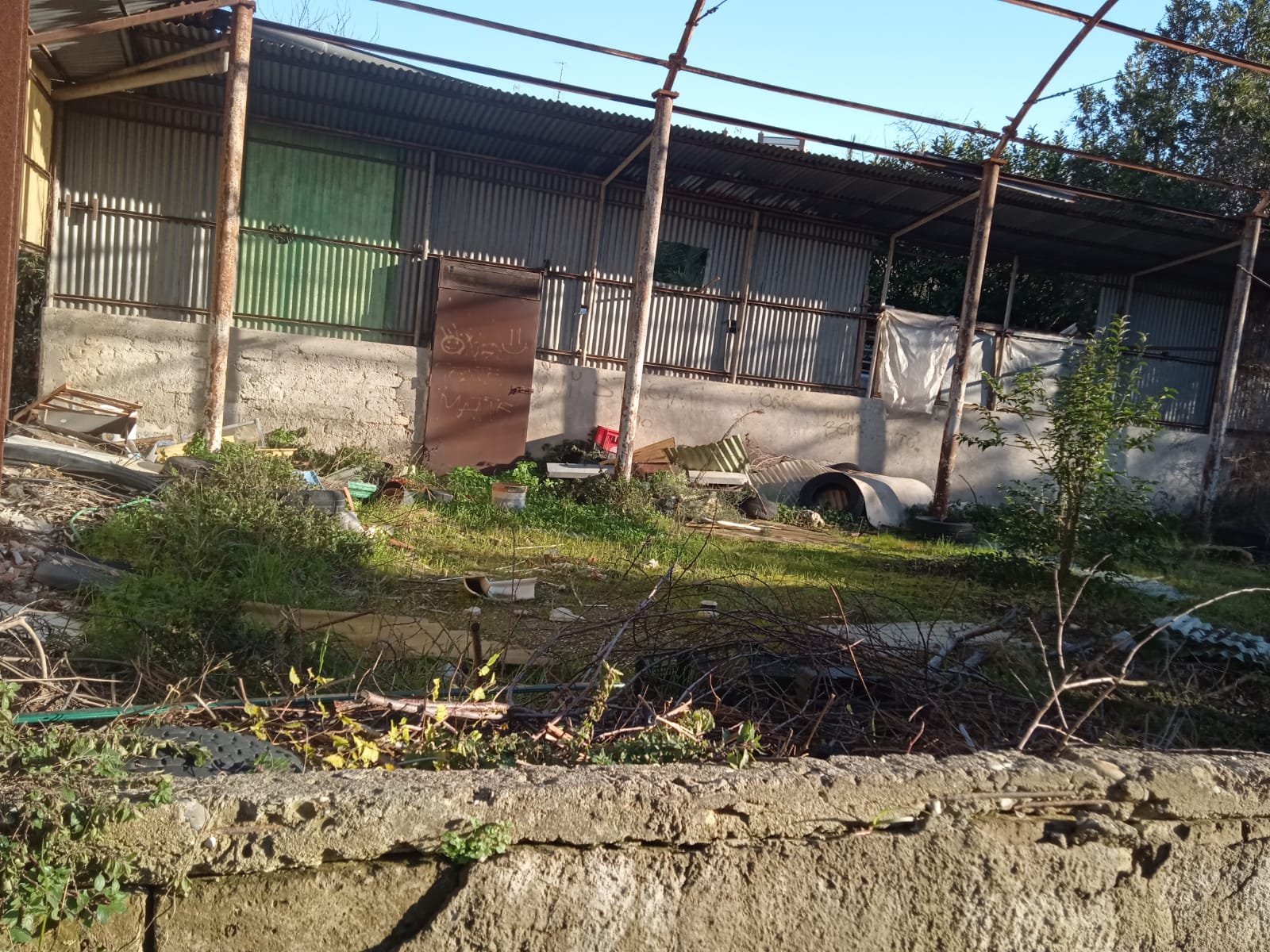 Benevento| Via San Pasquale, degrado in un ex campo di bocce. La denuncia di un cittadino