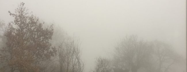 I giorni della merla tra leggenda e scienza