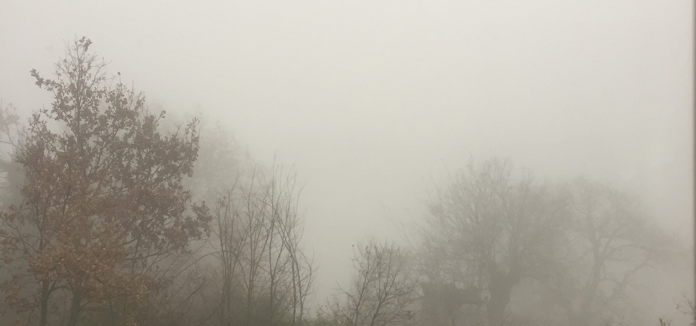 I giorni della merla tra leggenda e scienza