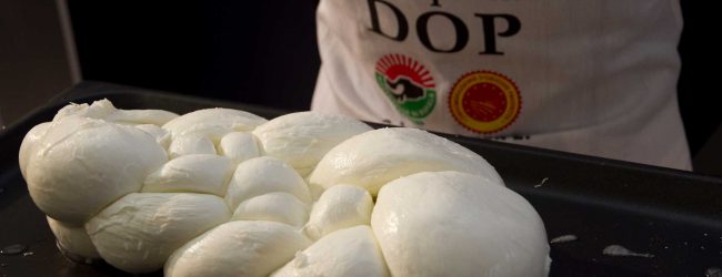 Made in Italy, Coldiretti: bene stop falsa mozzarella, tarocco vale 100 mld