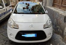 Benevento| Sterco di animale su auto in divieto di sosta