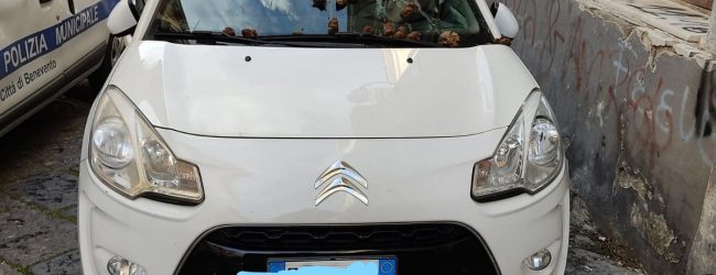 Benevento| Sterco di animale su auto in divieto di sosta