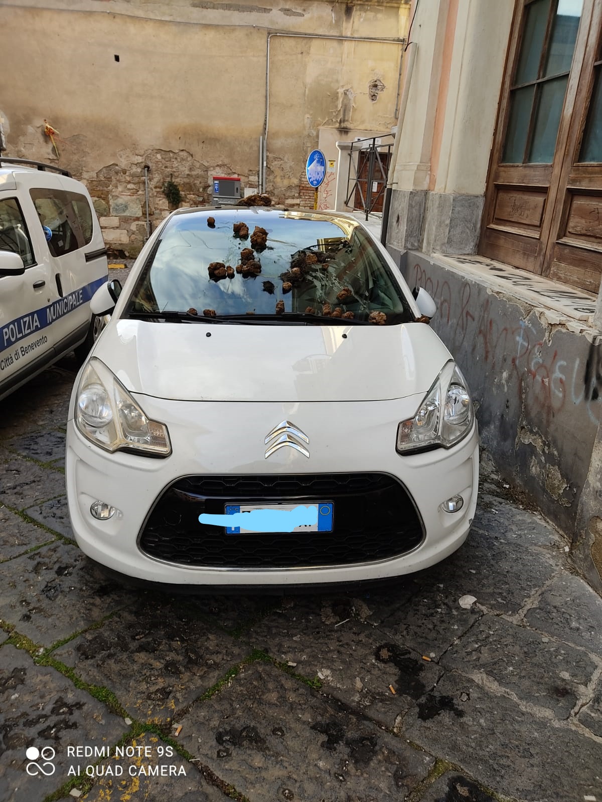 Benevento| Sterco di animale su auto in divieto di sosta