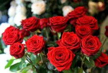 San Valentino, l’appello di Coldiretti: comprate fiori per salvare 20 mila lavoratori