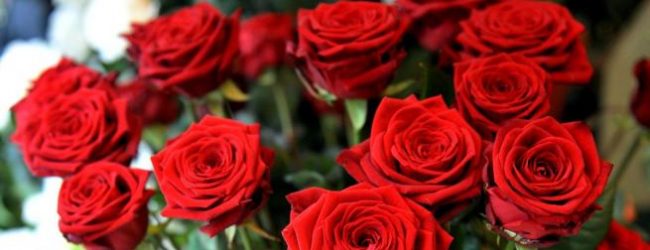 San Valentino, l’appello di Coldiretti: comprate fiori per salvare 20 mila lavoratori