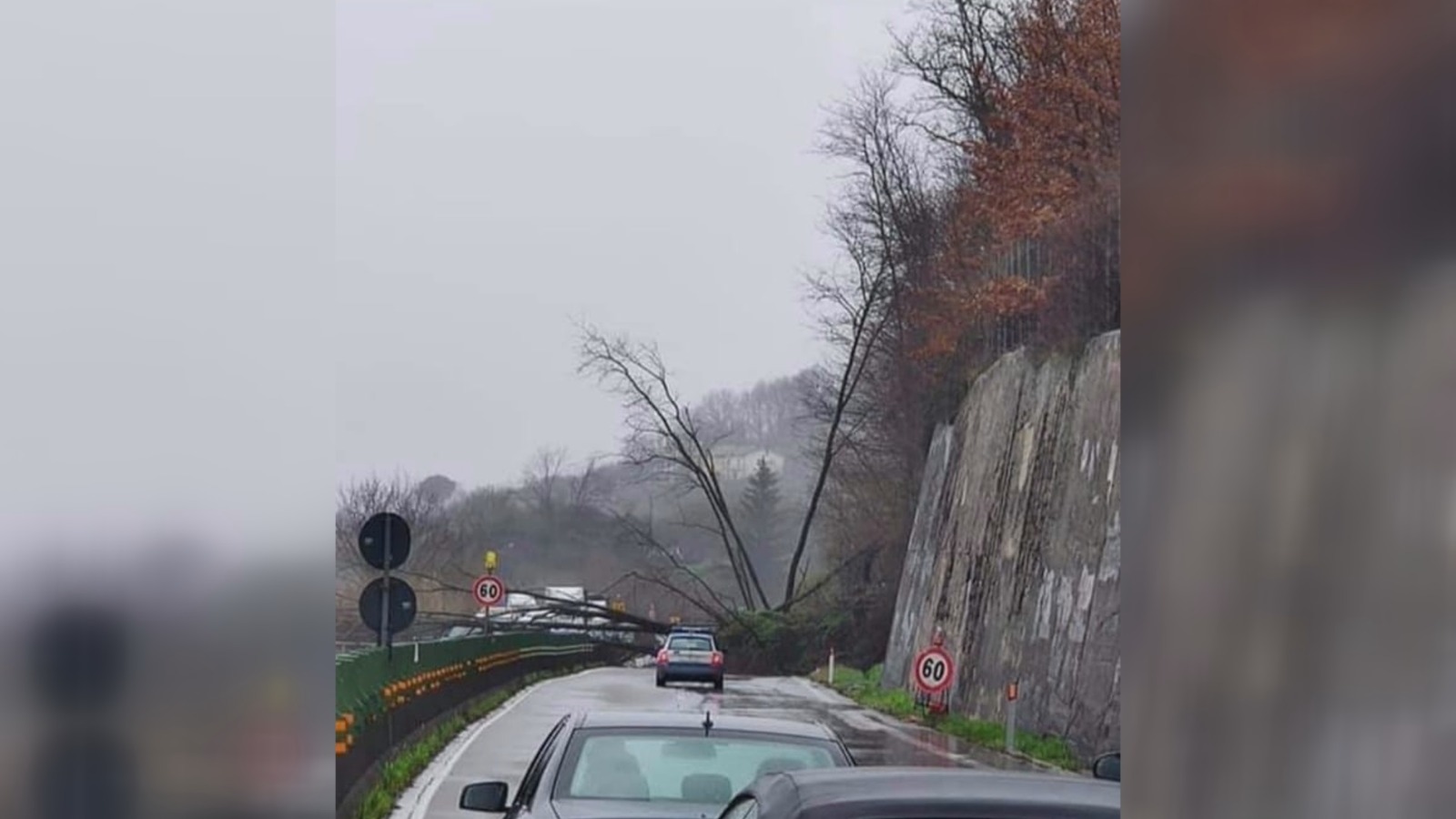 Serino| Maltempo a Serino, alberi sulla carreggiata del raccordo autostradale: traffico bloccato