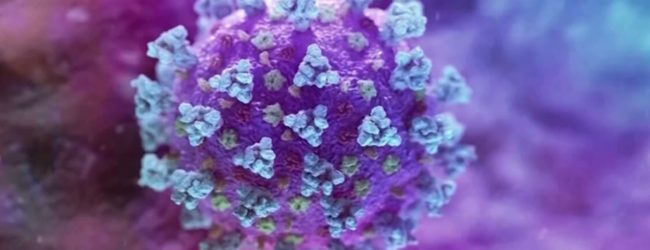 Il ruolo degli anticorpi monoclonali nella lotta al Covid-19