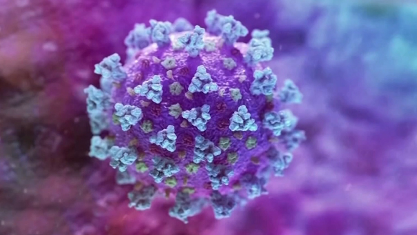 Il ruolo degli anticorpi monoclonali nella lotta al Covid-19